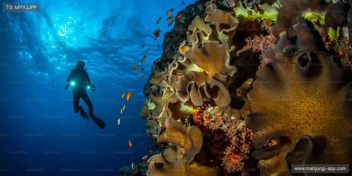 探索未知领域,发现游戏新可能!🌍🔍